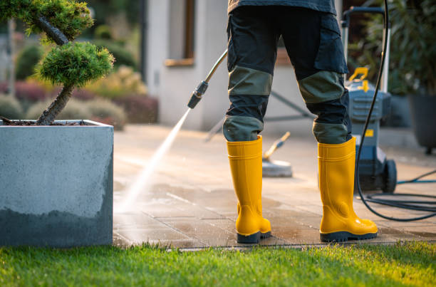 Best Roof Pressure Washing  in Gambrills, MD